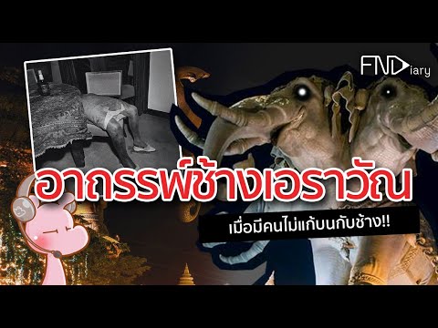 ช้างเอราวัณโหดกว่าที่คิด!! #อสูรไดอะรี่ #ไทยไดอะรี่ I แค่อยากเล่า...◄514►