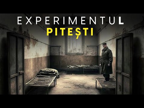 Video: Care este scopul unui experiment cu temporizator?