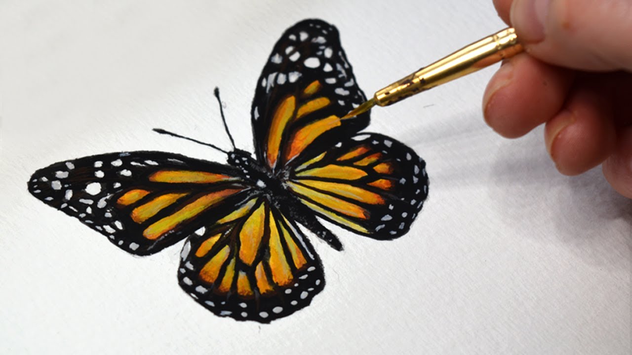 Paint a Butterfly - Pamela Groppe Art - Acrylic Painting for Beginners