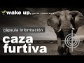 Caza Furtiva: David Beriain y Roberto Fraile