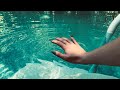 ASMR! Showing you around my pool + playing in pool!💧💧