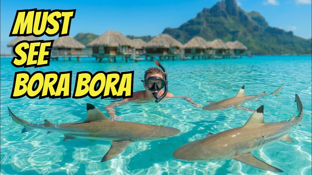 BORA BORA: Sharks, Stingrays & Paradise! 🇵🇫 2 Incredible Days with Silversea Cruises