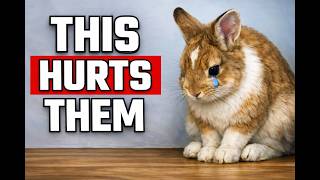 7 Things That HURT YOUR RABBIT!!