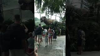 Day 23rd at Singapore #SanMarinaBay