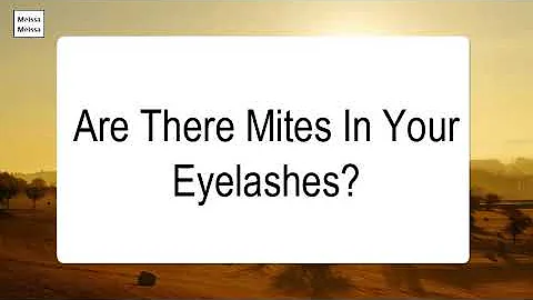 Are There Mites In Your Eyelashes
