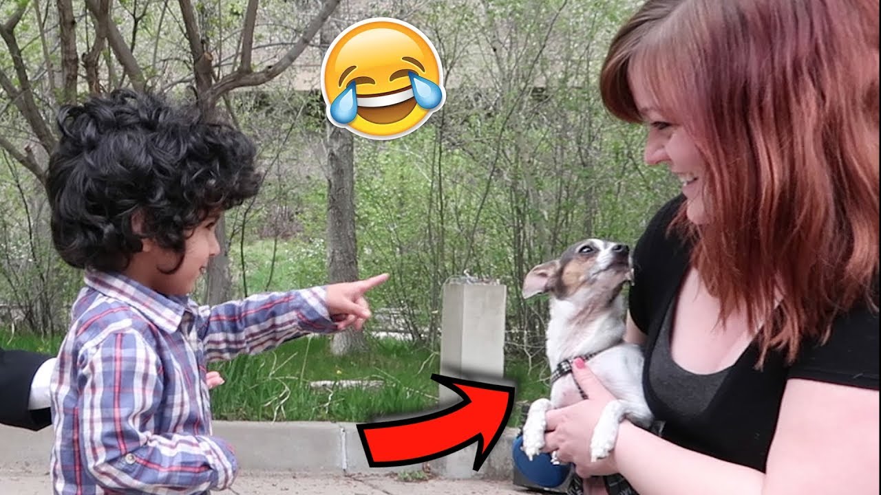 مدري متى نوصل -من شرق امريكا الى غربها بالسيارة 4