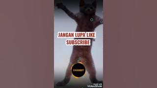 Jaipong Dangdut Bangbung Hideung