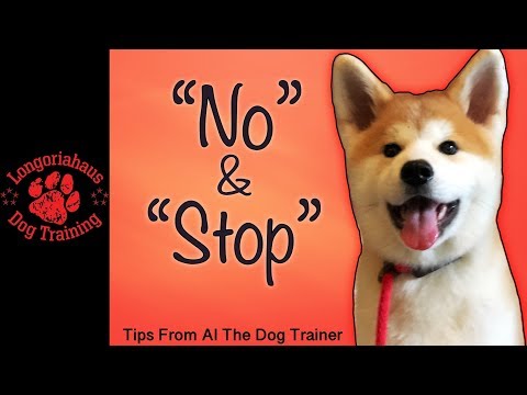 how-to-teach-your-dog-"no"-and-"stop"---tips-from-al-the-dog-trainer