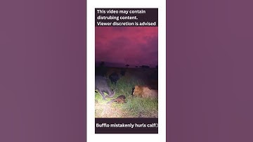 This video may contains disturbing content. Viewer discretion is advised