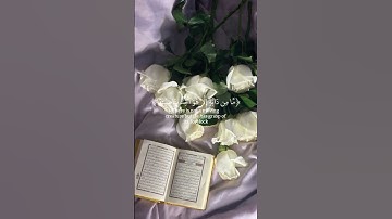 تلاوة خاشعة #الشيخ ماهر المعيقلي 🤍🍃