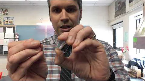 Making Onion Cell Slides