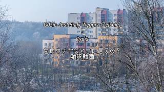 【和訳】Cypis - Gdzie jest biały węgorz? (Zejście)
