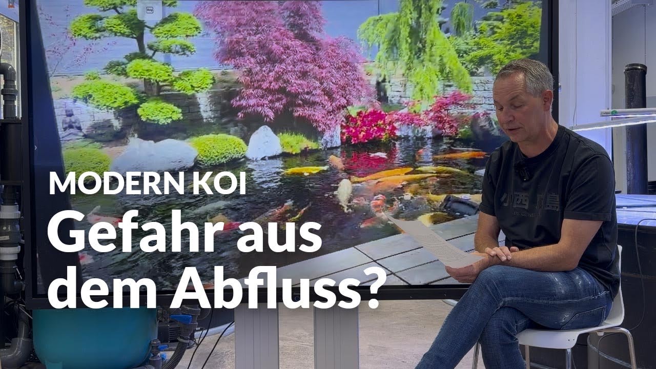 Können Bakterien durch Schwitzwasser in Abwasserrohren Koi krank machen? | Modern Koi Blog #8110