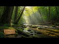 River Ambience 🌿 Soothing Flowing Water Sounds for Meditation and Deep Sleep #709