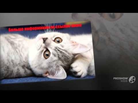 Бейсболка Goorin Brothers смотреть видео