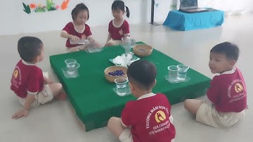 KPKH Hoa đậu biếc (Giáo án Steam) lớp 4_5 tuổi