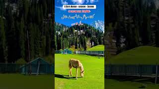 Buy Air /customized trip Gurop trip/university Group /Private Trip whtsapp +923011115002