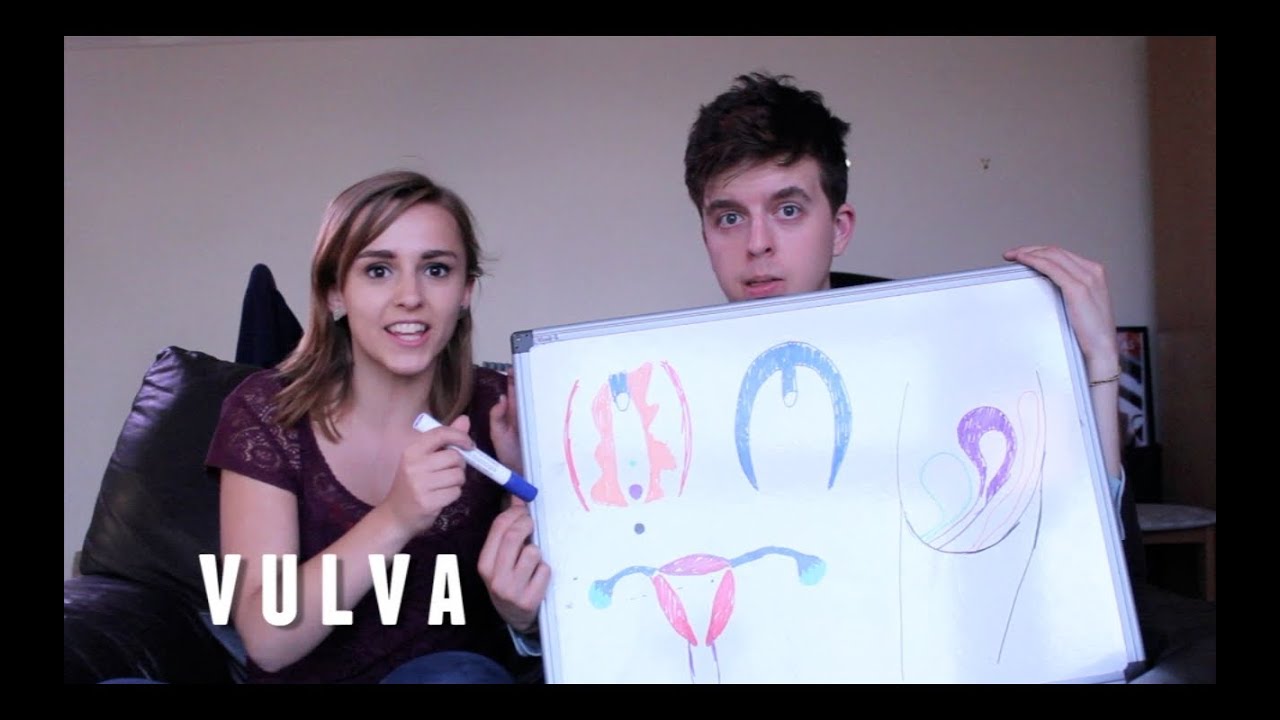 Sex Education 05 Anatomy The Vulva Youtube