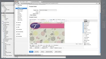 Adobe Business Catalyst-Email Campaign Template Creation (Part2)