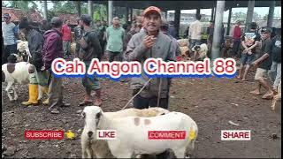 Crowded, Time to Buy