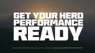 Multimin Performance Ready