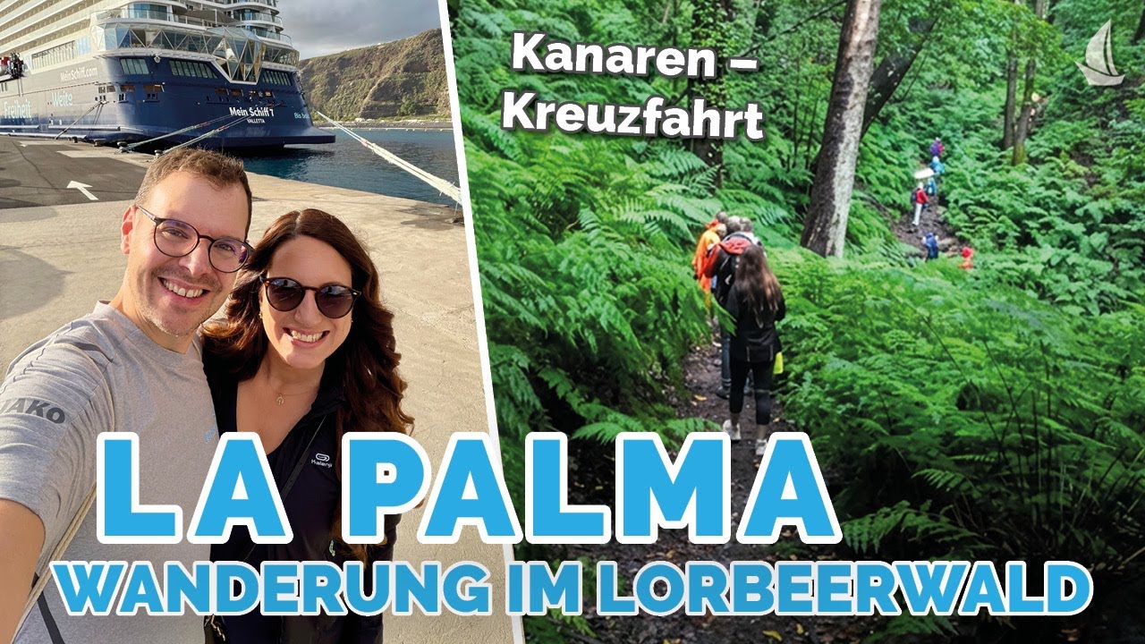 Im Lorbeerwald auf La Palma: Kreuzfahrt-Landausflug auf den Kanaren