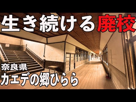 廃校見学と絶品ランチ奈良カエデの郷ひららが最高すぎた［関西穴場旅］