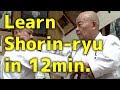 Learn Shorin-ryu in 12min. | Minoru Higa's practice #3  | ????? | ??????????????????