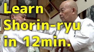 Learn Shorin-ryu in 12min. | Minoru Higa's practice #3  | 比嘉稔先生 | 小林流究道館｜初心者向け沖縄伝統空手