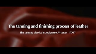 The Tanning and Finishing Process of Leather