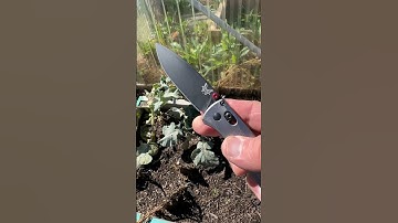 My Benchmade M390 Bugout is more than bug on a windshield… it’s the best Bugout version to date