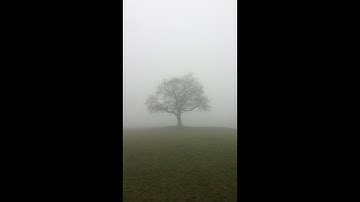 hvh highlights ft. gamesense/skeet | cfg beta+ | best lua