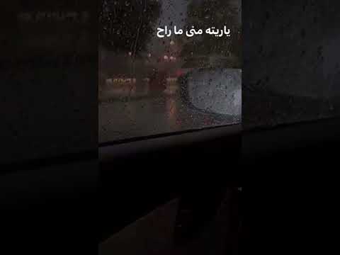 ياريته مني ماراح