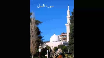 سورة النحل - الشيخ ماهر شخاشيرو