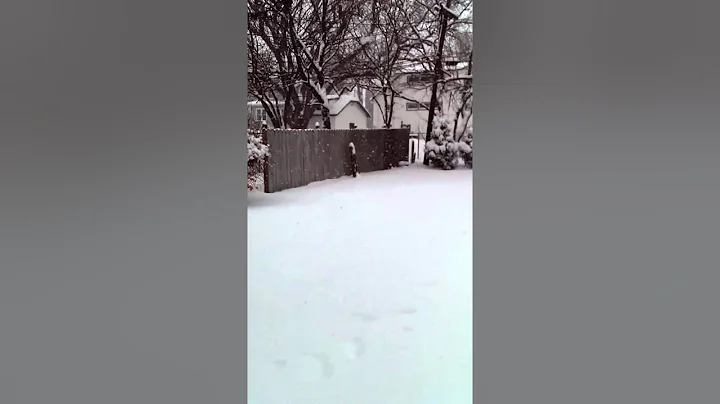 Winter 2014