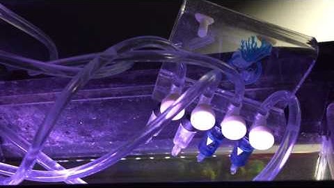 DIY Fertilizer Autodoser Freshwater Aquarium w/ Arduino