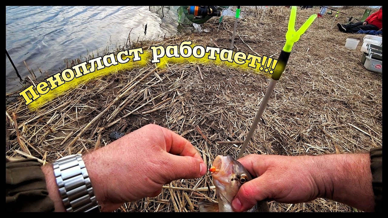 Ловля Вимбы на Фидер в Апреле 2021. Пенопласт работает!!! Рыбец на реке.