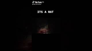 Its A Rat Resident Evil Village short