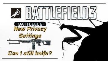 BF3 - New Battlelog privacy settings...can I still knife the pubstars?