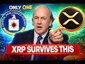 XRP NEWS : When Stablecoin Market Collapses | Jim Rickards Details Exact Mechanism | XRP Position