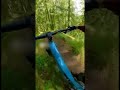 Capture the moment wild boar attack bicycle #cameracaught  #cctvviral #animalattack #wilflife
