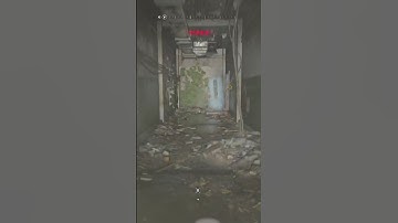 puerta qliaa xdd | #g_warri de #Twitch #dyinglightthebeast #bug #humor