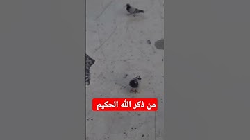 القرآن الكريم #challenge #jumagreenscreen #البخل #اكسبلور #المصحف #تيك_توك #دويتو