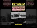 "Fierce Battle" Sparked by Three Dogs.#history