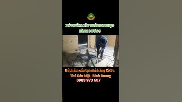 Hút hầm cầu tại nhà hàng Cô Ba Thủ Dầu Một Bình Dương #huthamcaubinhduong