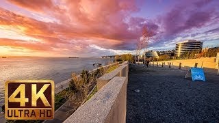 4K UltraHD Urban Relaxation Video with City Sounds - Olympic Sculpture Park, Seattle
