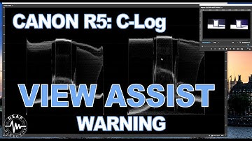 CANON R5: CLOG VIEW ASSIST WARNING