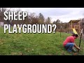 Building a Sheep Play Pen - Expanded Forage Paddock
