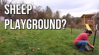 Building a Sheep Play Pen - Expanded Forage Paddock