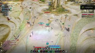aion 2 bug